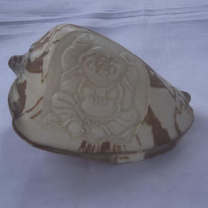 Cymbiola sculpture bouddha ornement style coquillage bijoux sculpture bouddha ornement en style religieux coquille matériel - Product Image 1