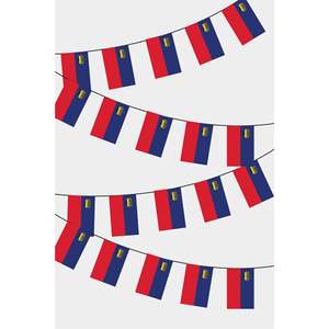 Guirlande de fanions rectangulaires du Liechtenstein imprimées numériquement - Product Image 1