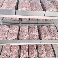 Pieds de poulet congelés de haute qualité et pattes de poulet halal pour l'approvisionnement alimentaire international