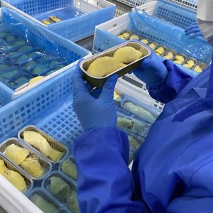 ทุเรียนแช่แข็งออร์แกนิกรสหวานหรูหรารสแท้ Iqf ผลไม้ที่ชื่นชอบของประเทศไทยสำหรับทุกโอกาส! - Product Image 4