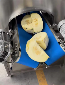 Máquina Cortadora de Frutas y Verduras de Alta Frecuencia Somaton, Motor de Acero Inoxidable 304, 380V 1800W, Alto Rendimiento, Capacidad de 1000-4000KG/H - Product Image 6