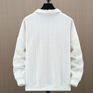 Vente en gros de sweatshirts à demi-fermeture éclair pour hommes sweatshirt de grande taille à col rabattu personnalisé de couleur simple pour printemps automne pour hommes OEM - Product Image 2