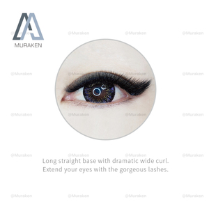 ขนตาปลอมแบบแถบเต็มเพิ่มวอลลุ่ม - Product Image 3