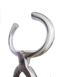 Herramienta Profesional de Acero Inoxidable para Herrador de Caballos, Instrumento Veterinario, Cortador de Cascos, Diagnóstico de Cascos Deportivos Marginales - Product Image 2