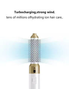 Secador de Pelo Eléctrico 5 en 1 con Motor de CA de 1000 W, Calentador PTC LED, Boquilla Concentradora, Estilizador Iónico para Rizar y Alisar el Cabello de Mujer - Product Image 5