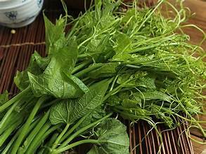 FEUILLES DE CITROUILLE VERTES CONGELÉES INIMMUNITAIRES À PARTIR DE SOURCE À BASE DE PLANTES PURES AVEC CERTIFICATION D'ÉTIQUETTE PROPRE - Product Image 6