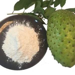 EXPAD Poudre de fruit de corossol lyophilisée naturelle en gros de Ho Chi Minh Ville Vietnam - Product Image 2