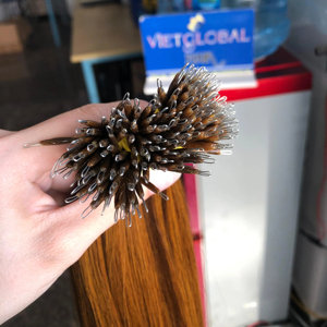 100% ต่อผมแหวนนาโนผมตรงนุ่มสลวยสำหรับผู้หญิงผมคนเวียดนามแท้สีเน้นคุณภาพระดับพรีเมียม - Product Image 5