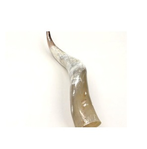 Natural Viking Drinking Horn Premium Quality Buffalo Viking Horn Customized Size and Cheap Price - Product Image 3