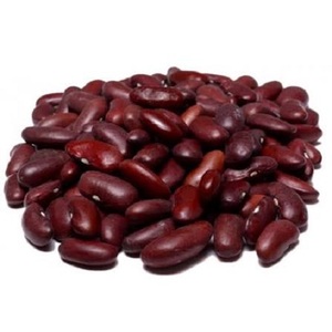 Quality Dried Oval White Lima <b>Beans</b> Bulk Packaging 25KG Thailand - Product Image 1