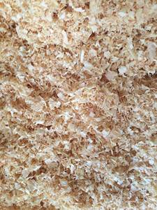 Copeaux de bois 100% pin bon marché, jaune clair, prix compétitif, copeaux de bois pour hamster - Product Image 2