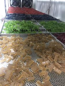 100 caramelo orgánico dulce Seamoss gomitas/gomitas de musgo marino de alta calidad con 6 Sabores-gomitas de musgo marino/Shyn Tran - Product Image 2