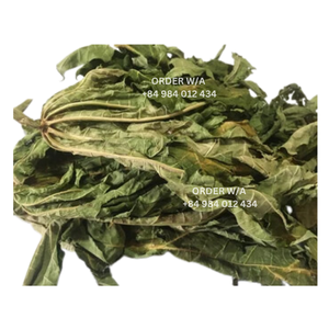 Tarifas de descuento en Extracto de flor de papaya masculina seca Grado a Los mejores precios para pedidos al por mayor Marca EXPAD - Product Image 4