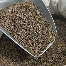 Semillas de Perilla al por Mayor, Origen Sudáfrica, Naturales, Marca NJICUDA Global Trade - Product Image 2