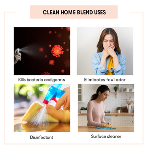 Meilleures ventes : Mélange d'huiles essentielles 100 % naturelles de haute qualité pour la maison, fait main, pour une maison propre - Product Image 4