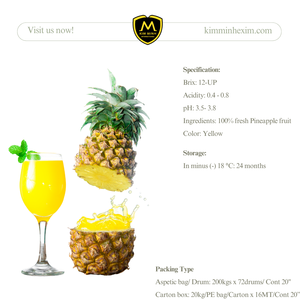 Puré de piña sin azúcar con sabor natural 100% Concentrado de jugo de frutas y verduras de piña fresca en bolsas empaquetadas a granel - Product Image 2