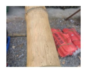 Prix de gros Poteau de canne en bambou Matériau de bambou naturel écologique de haute qualité Fabricant du Vietnam Usine d'exportation - Product Image 1