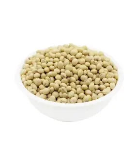 Kacang kedelai kacang Halal kacang kedelai panggang asinan kuning OEM kemasan besar warna organik rak berat jenis minyak asal