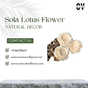 ดอกบัวโซล่าคุณภาพสูงทําด้วยมือสําหรับงานแต่งงานตกแต่งโฮมออฟฟิศ - Product Image 6