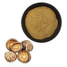 Hongos de poder Shiitake vegetales secos a base de hierbas de micelio seco deshidratado de alta calidad de Vietnam - Product Image 5