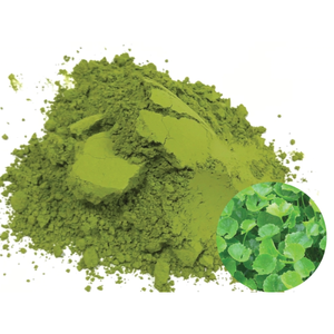 ผงใบบัวบกสมุนไพรธรรมชาติ เหมาะสำหรับสมูทตี้ ชา เครื่องดื่มเพื่อสุขภาพ และผลิตภัณฑ์อาหารเพื่อสุขภาพต่างๆ - Product Image 1