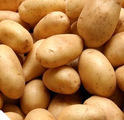 Best selling Quality Brushed and Washed Potatoes Fresh Style