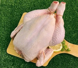 Pollo Congelado Fresco de Primera Calidad al por Mayor, Pollo Entero Halal, Carne de Aves Baja en Grasa en Bolsa - Product Image 5