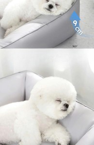 <b>Cool</b> Modern Animal Pattern Soft Waterproof Tear-Resistant Washable Pet <b>Mat</b> for <b>Cats</b> & Dogs From Vietnam - Product Image 4