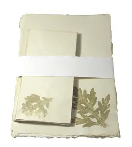 Зеленая Живая стильная окантовка (НАТУРАЛЬНАЯ окантовка) A4 буквенные головки + конверты с настоящими свежими листьями впечатления набор букв