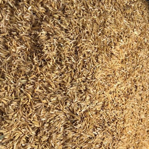 Polvo de Cáscara de Arroz de la India 100% Puro de Alta Calidad, 24 Meses de Vida Útil, Suministro Directo de Fábrica a Granel - Product Image 5