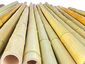 Poteaux de bambou écologiques-Utilisation polyvalente pour le support de plantes ou la clôture de jardin - Product Image 2