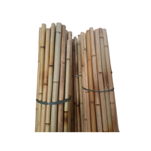 Tubo de postes de bambú respetuoso con el medio ambiente para enrejado de jardín y soporte para plantas Acabado natural de Vietnam - Product Image 6