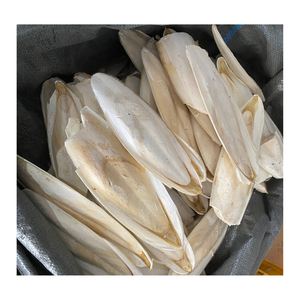 100% os de seiche naturel pour oiseaux-Affûtage sûr du bec Os de seiche à mâcher pour perroquets, oiseaux, os de seiche séchés - Product Image 1