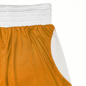 Vente en gros Shorts de MMA personnalisables Shorts de combat respirants pour hommes Muay Thai Boxe Kickboxing Shorts personnalisables pour hommes - Product Image 4