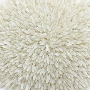 Proveedor de arroz blanco a granel, arroz pulido largo de grano medio, apariencia limpia, exportador confiable, entrega rápida, embalaje personalizado - Product Image 1