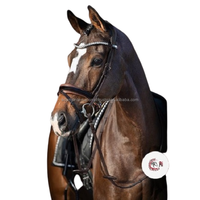 Bridon de dressage pour cheval en cuir roulé, personnalisable, de qualité supérieure et élégant