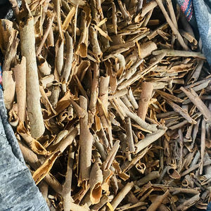 VENTA SUPERIOR CASSIA CANELA TIPO ROTO Especias de alta calidad Precio barato 2 años de vida útil Origen de Vietnam Marca MITvn - Product Image 1