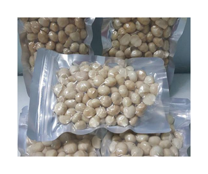 เปลือกธรรมชาติแมคคาเดเมียเวียดนามที่คัดสรรมาอย่างดีถั่วแมคคาเดเมียคั่วสำหรับฉลากส่วนตัว - Product Image 5