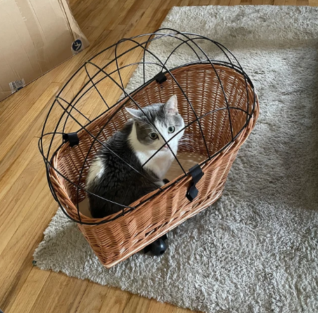 Горячая цена плетеная корзина для велосипеда кошка собака транспортер ручной работы Перевозчик корзина домашнее животное транспортер