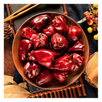 Piments rouges séchés naturels AD de haute qualité à prix abordable, graines de piment en vrac brésiliennes allongées de 25 kg pour la vente en gros
