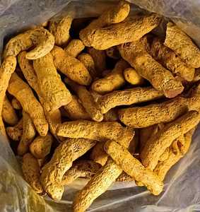 Doigts de curcuma séchés bruts de qualité supérieure, sélectionnés à la main, couleur jaune vif, pour applications culinaires et herbales, prix de gros - Product Image 2