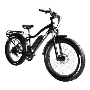 48V 750W/1000W <b>Fat</b> <b>Tire</b> Electric <b>Mountain</b> <b>Bike</b> with Lithium Battery for Men - Product Image 1
