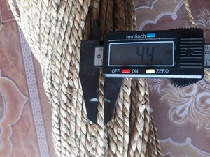 Herbe de mer brut séché fibre naturelle de jonc de mer pour la production artisanale du fournisseur direct - Product Image 2