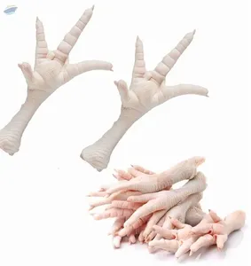 อุ้งเท้าไก่แช่แข็งพร้อมส่งออก - Product Image 1