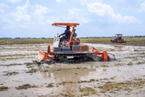Hogico HG 80VN ยางรถแทรคเตอร์ยางรถแทรคเตอร์80HP ดินโคลนรถแทรกเตอร์ตีนตะขาบสำหรับทำนาข้าว - Product Image 3