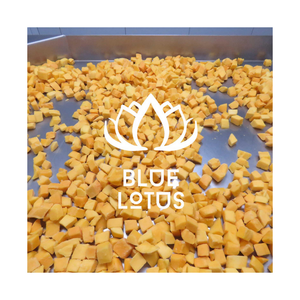 VENTE CHAUDE Vietnam Mangue Congelée 2025 IQF Naturel Doux Fruit Tropical Haute Qualité Meilleur Vendeur Exportation Disponible - Product Image 1