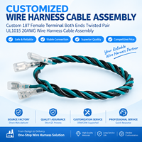 Câble personnalisé 187 avec bornes femelles aux deux extrémités, paire torsadée UL1015 20AWG, faisceau de câbles pour équipement industriel et CVC
