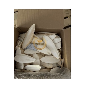 กระดูกปลาหมึกตากแห้ง100% สำหรับอาหารนกและอาหารสัตว์/กระดูกซีเปียแบบแห้งผลิตในเวียดนาม - Product Image 6