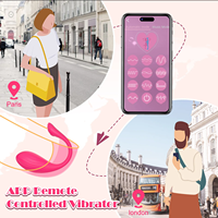 Jouet de bien-être intime portable à distance contrôlé par application, stimulateur du point G et du clitoris, vibromasseur portable à distance contrôlé par application