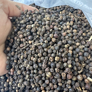Vietnam Herbes et épices Poivre noir 500, 550, 570g/l faq & Asta Standard Grand goût Poivre noir pour l'exportation/ANNA DO - Product Image 5